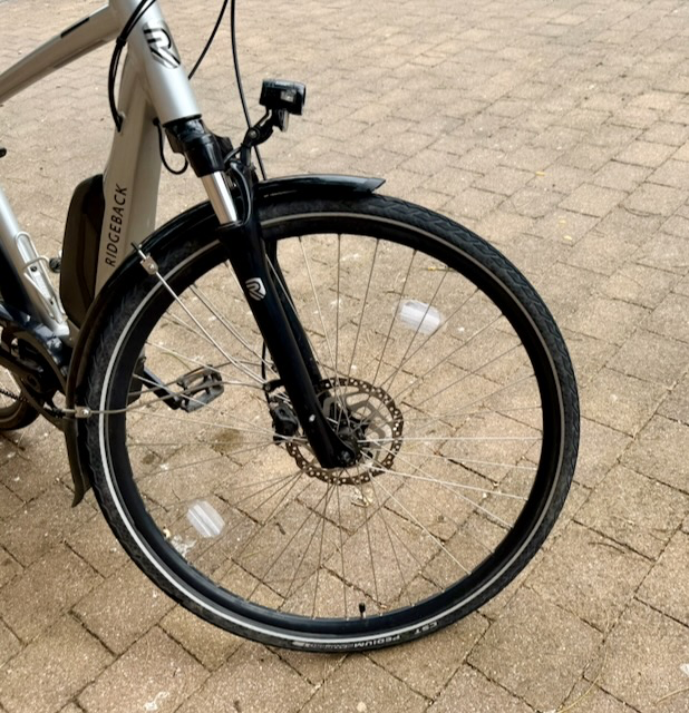 Ridgeback Cyclone 2019