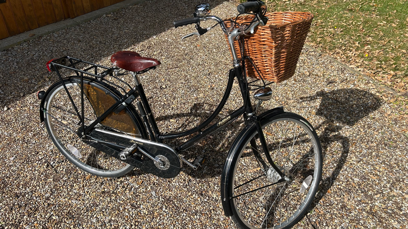 Pashley Princess Sovereign 5 Speed 2019