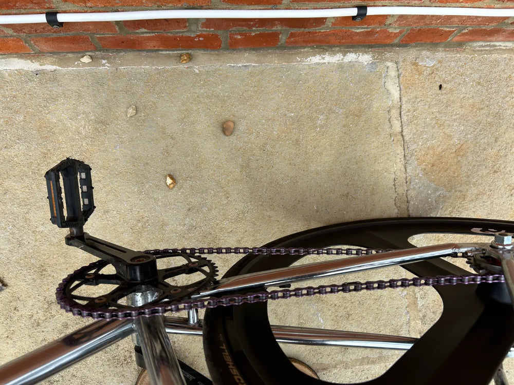 Quella  Varsity Imperial 56cm Single Speed (BHQ0075) 2024