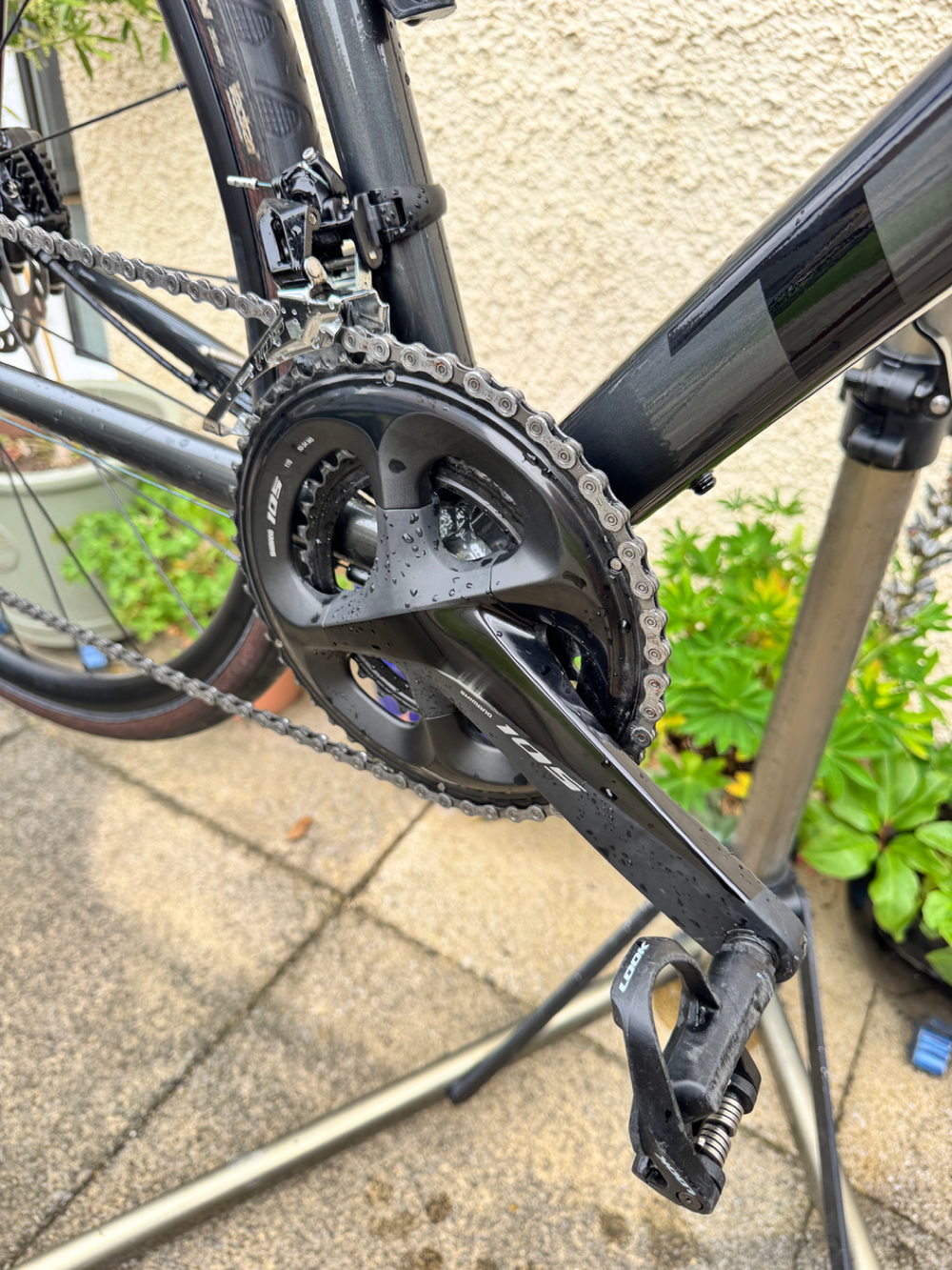 Trek Domane AL 5 Disc 2022