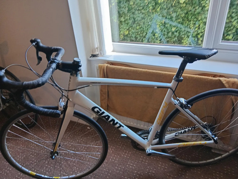 Giant Defy 3 2010