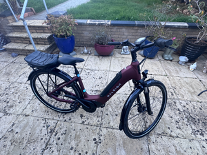 Raleigh Motus 7 Speed Step Through Bosch 2024