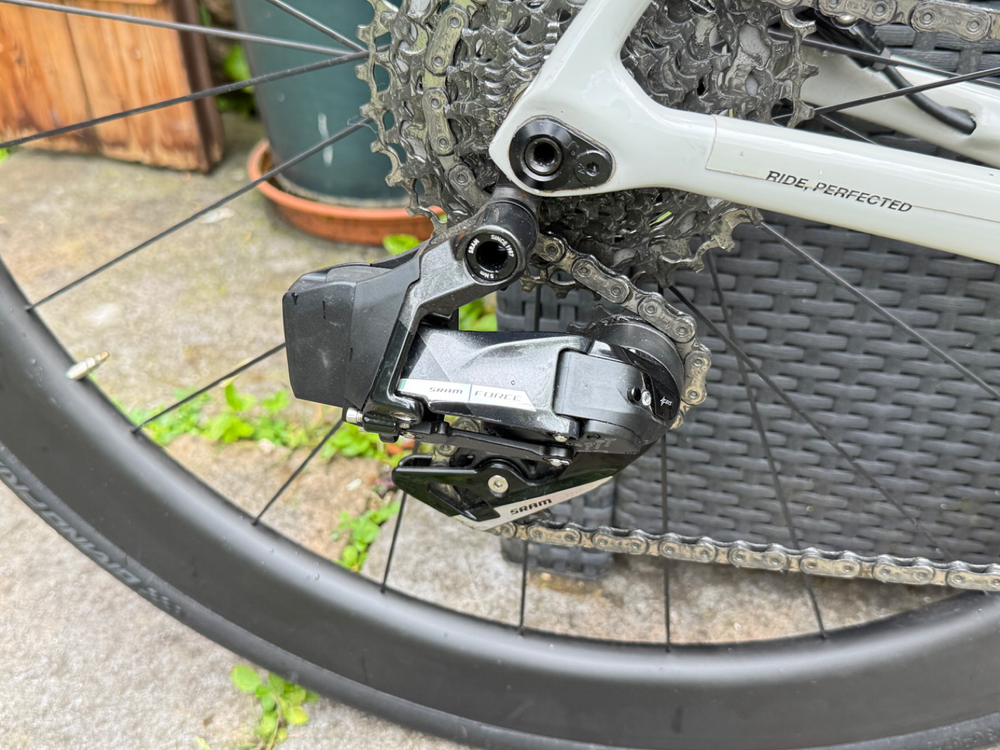 Basso Venta 2024