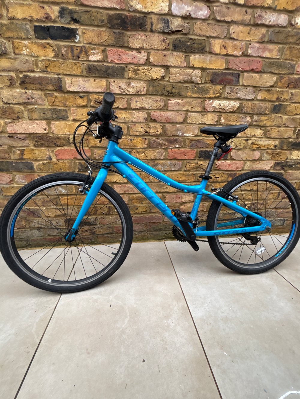 Carrera Abyss Junior Hybrid Bike 2021