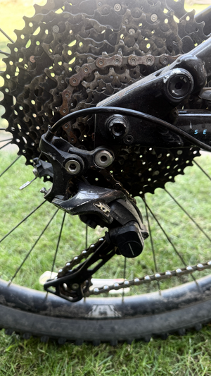 Marin Rift Zone 1 29 2021