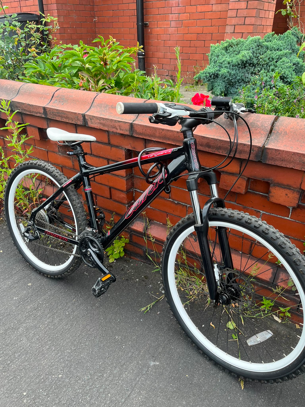 Carrera Vengeance Junior 2023