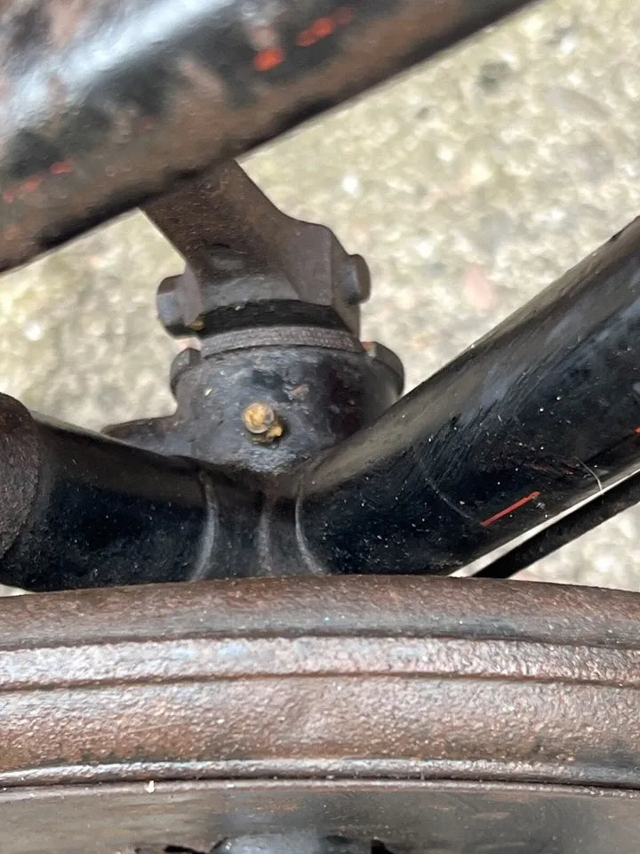Raleigh Special 2017