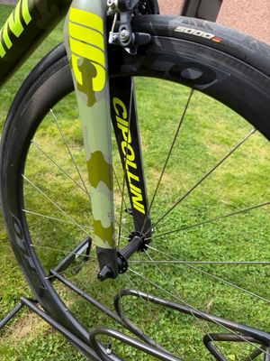 Cipollini Bond 2019