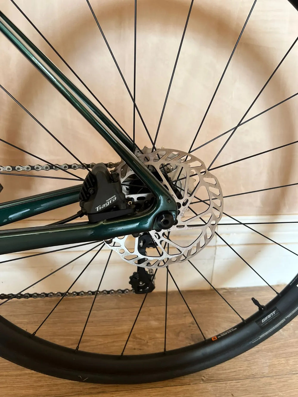 Giant Defy - Advanced 3 2024