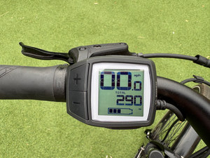 Raleigh Motus Step Through Bosch 2023