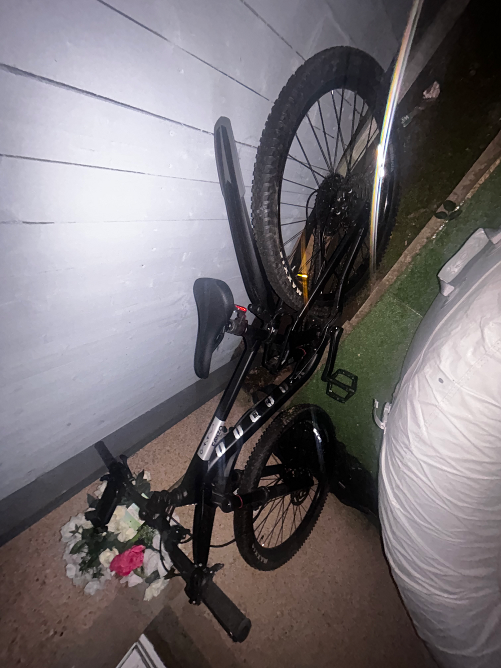 Voodoo Canzo FS 2026