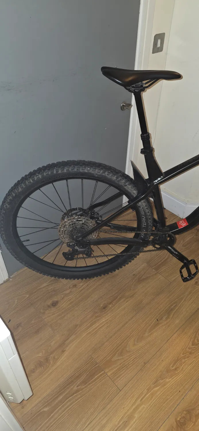 Trek Roscoe 7 2025