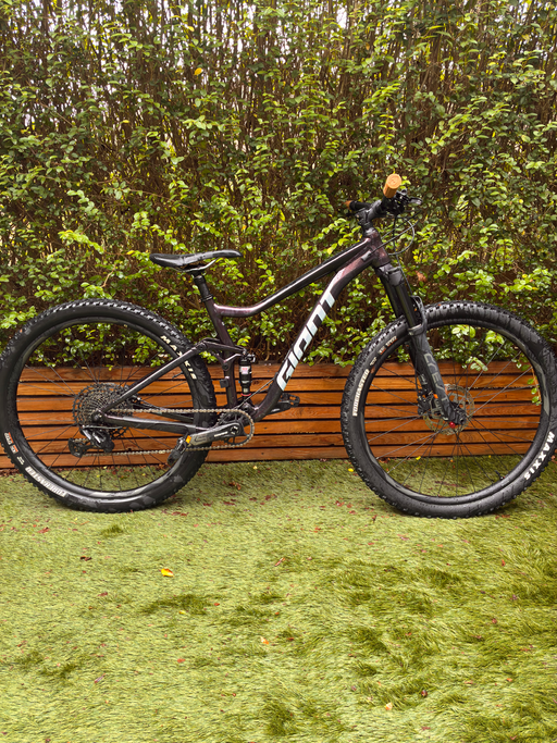 Giant Stance 29 1 2022