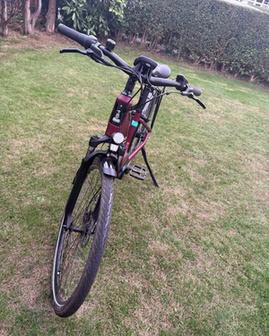 Raleigh Motus Grand Tour Lowstep Hub Gear 2022