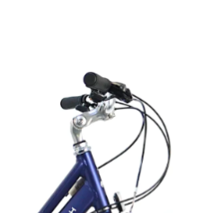 Raleigh Pioneer Low Step Frame 2021
