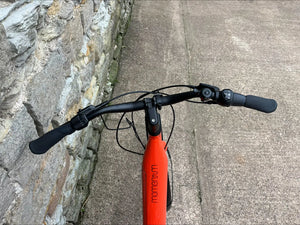 Momentum Vida E+ Low -Step 2024