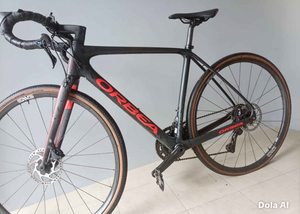 Orbea Terra Omr 2024
