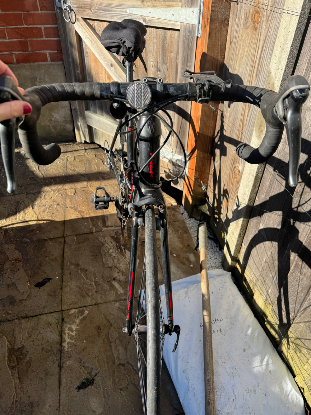 Trek Domane AL 2 2020