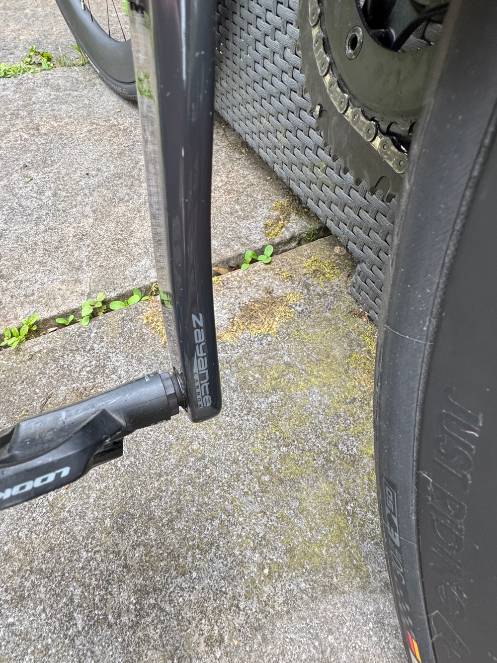 Basso Venta 2024