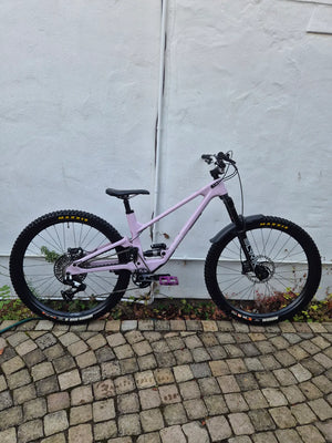 Forbidden Druid 2 29er 2025