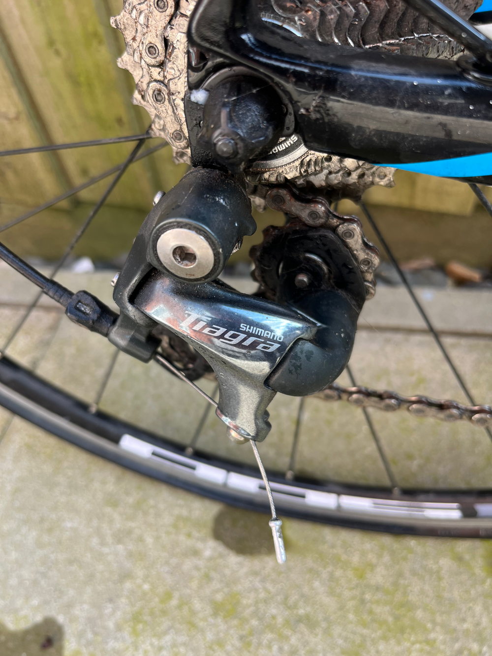 Wilier Luna 2016