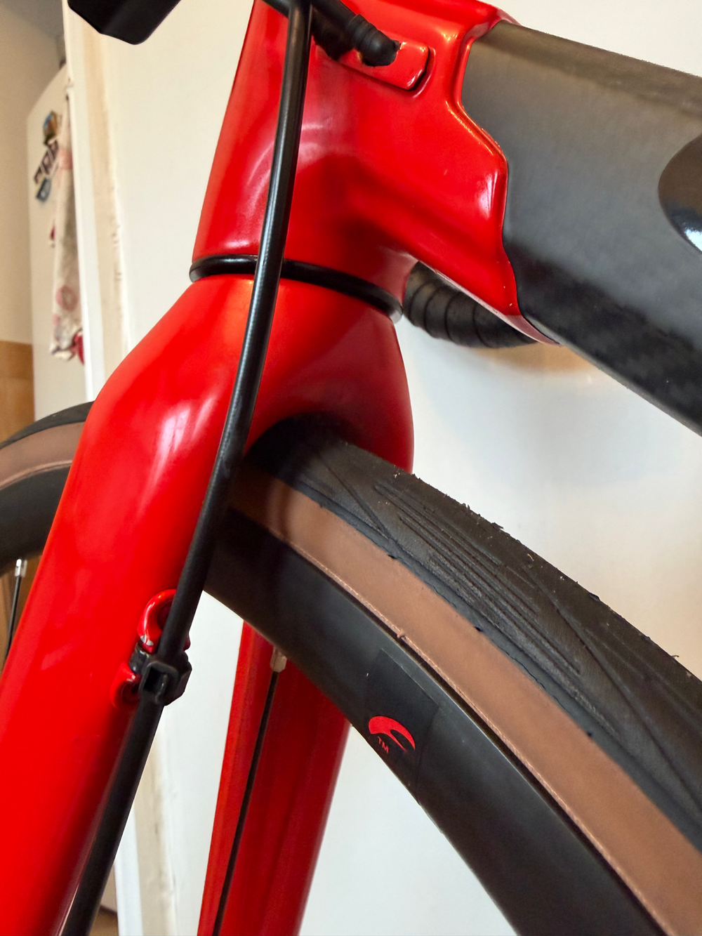 Colnago C60 Disc Frameset 2019