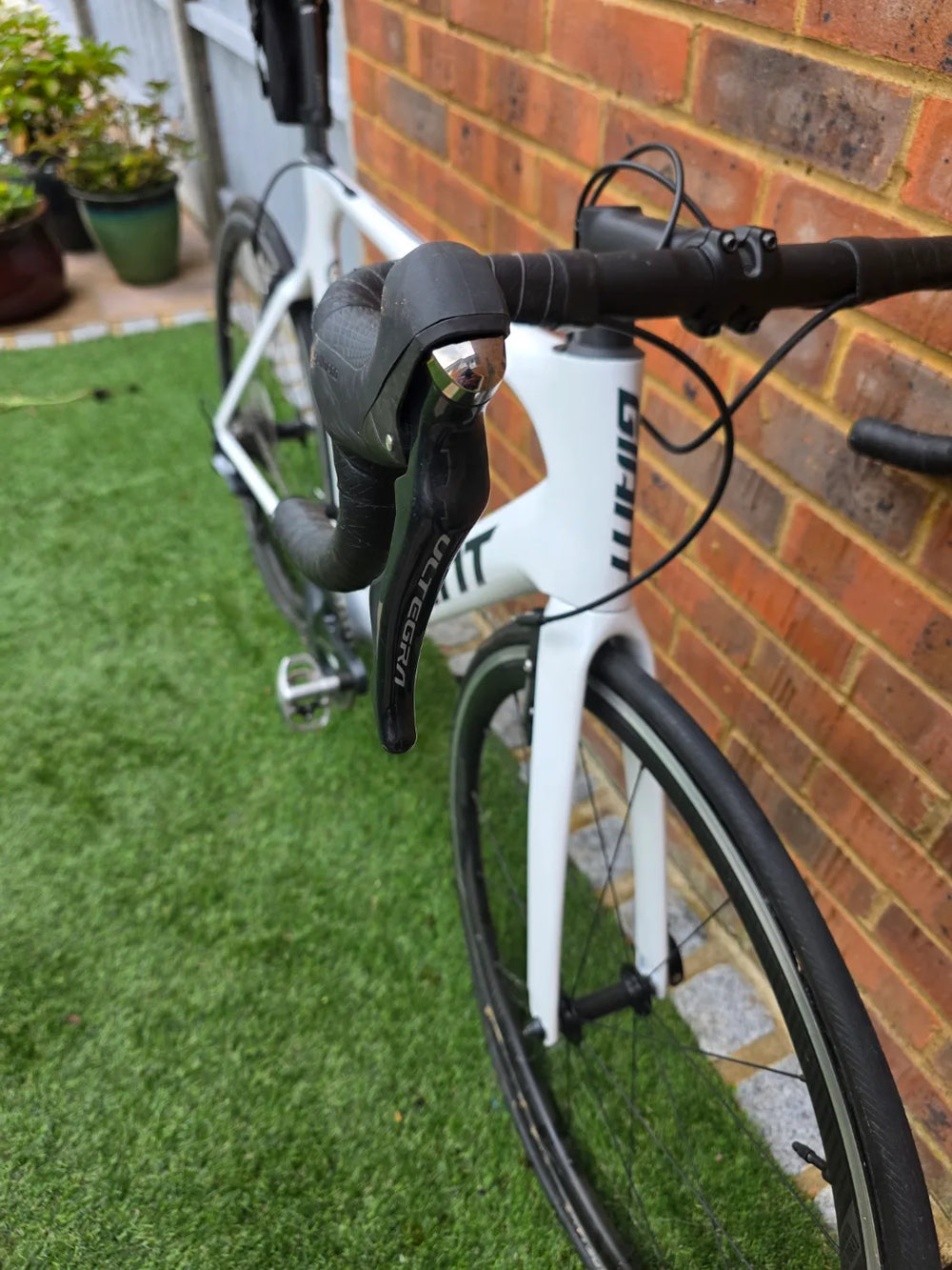 Giant Propel Advanced 1 2020