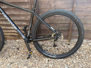 Cannondale Trail 7 2021