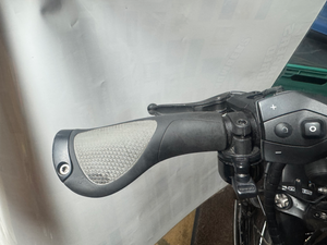 Riese and Muller Homage GT Vario 2019