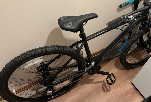 Carrera Vengeance , 2024