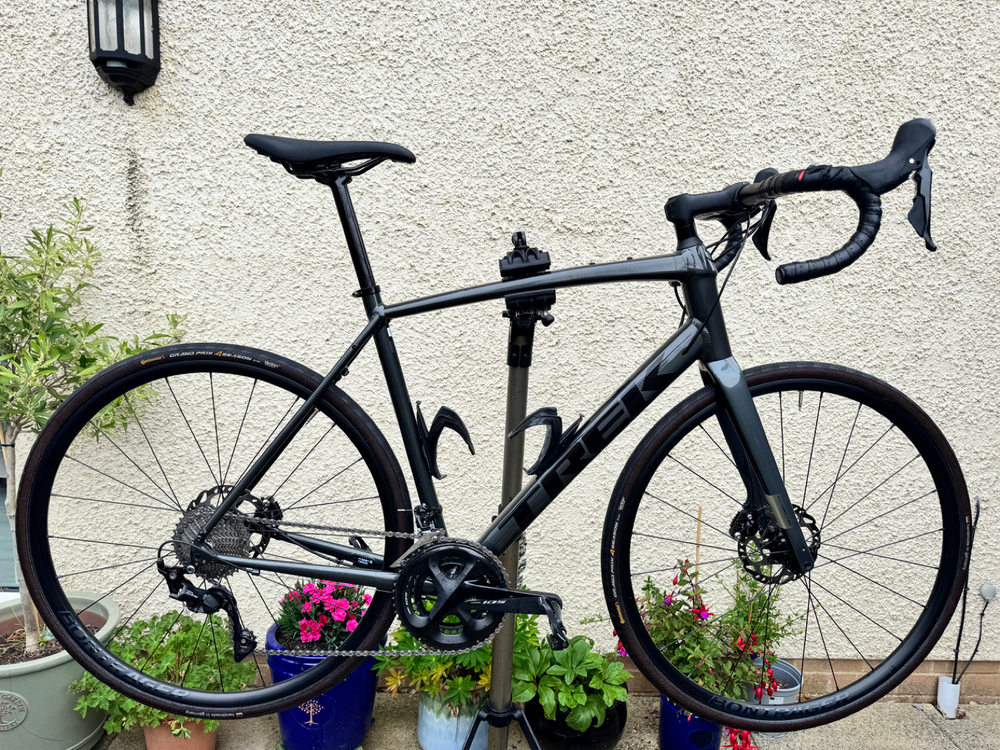 Trek Domane AL 5 Disc 2022