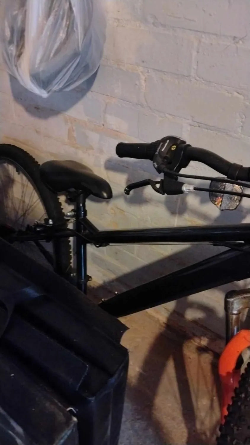 Giant STP 24 2020