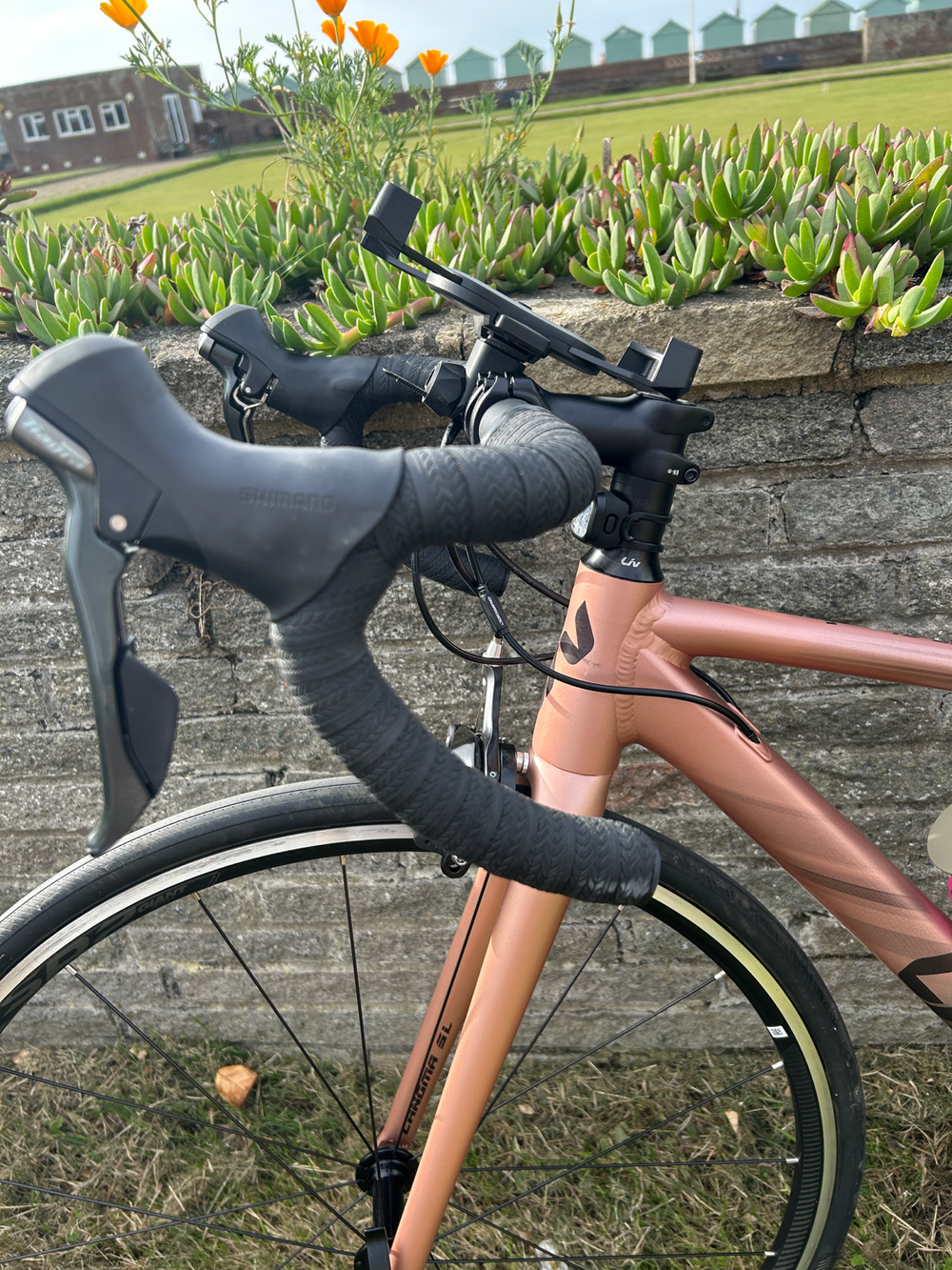 Liv Langma SL 2 2021