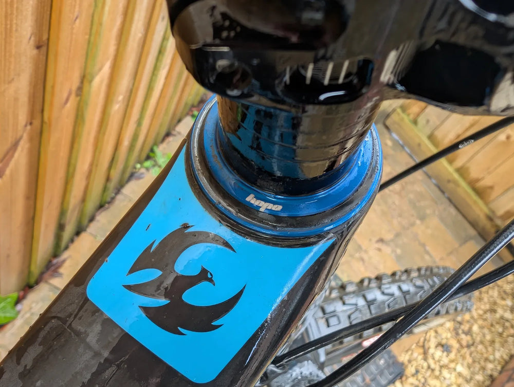 Pivot Mach 5.5 Carbon Pro X01 2019