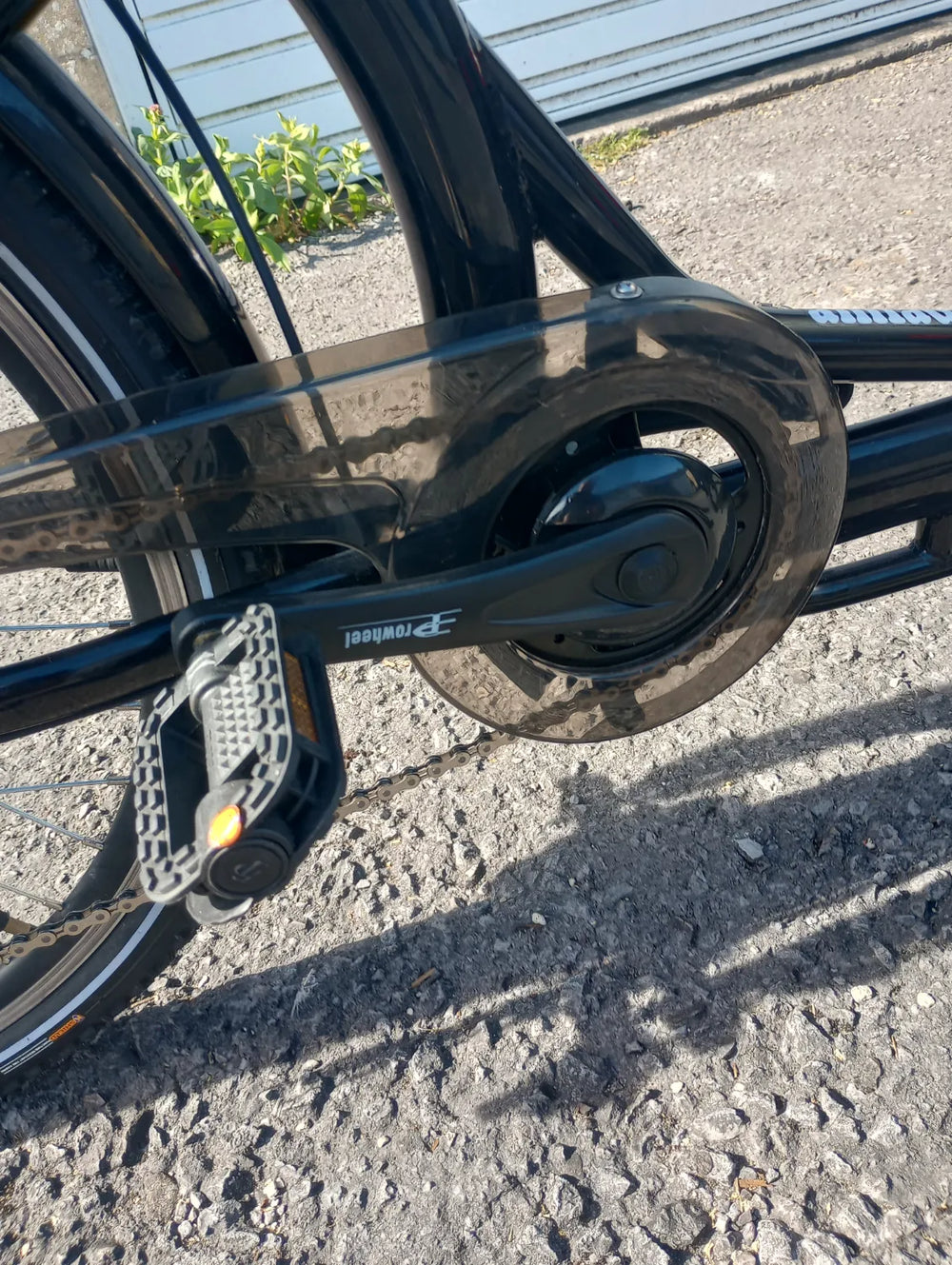 Amcargo Deluxe 2024