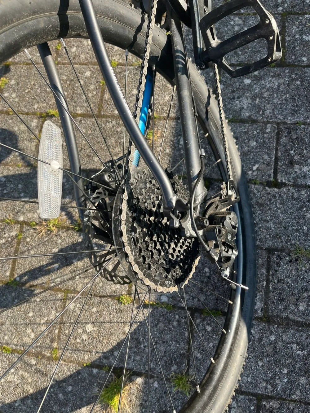 Boardman JNR 20 2021