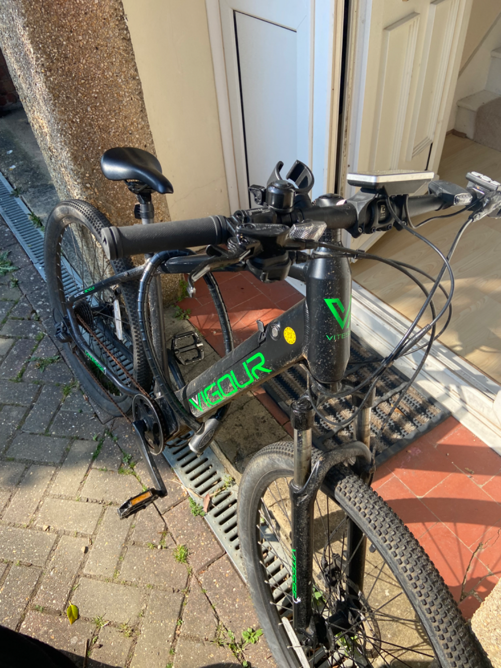 Vitesse vigour Electric mountain  2020