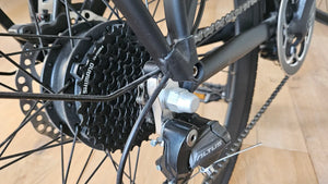 Furo Systems Electric Bicycle Aventa 250W 2021