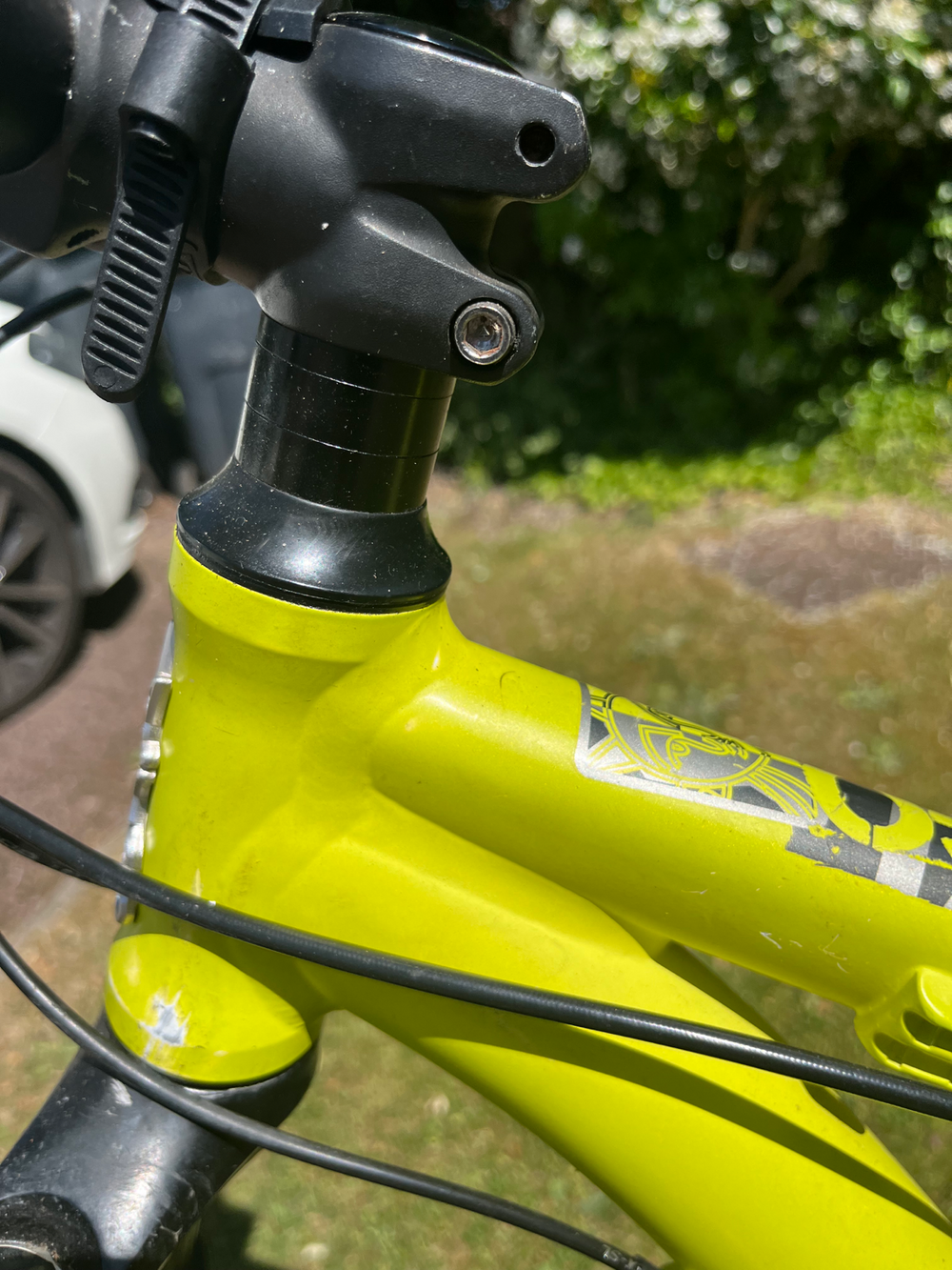Voodoo BIZANGO PRO 2022