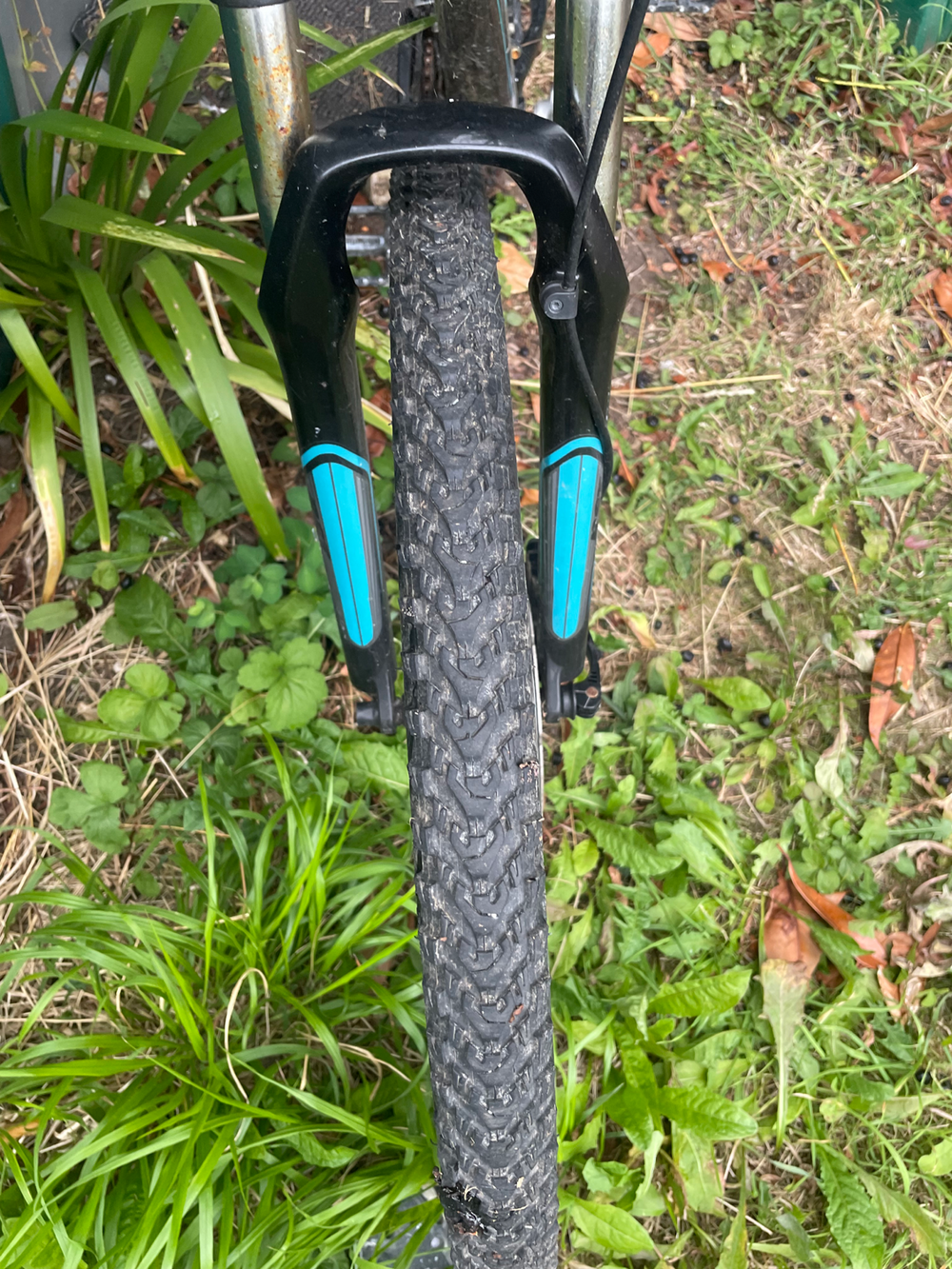 Trek Skye SL 2018
