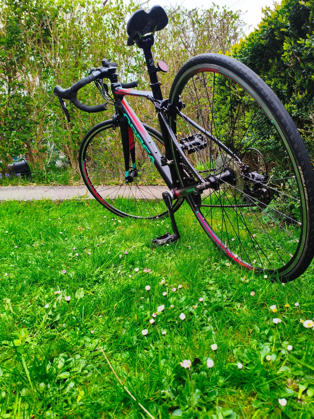Orbea AVANT H50 2019