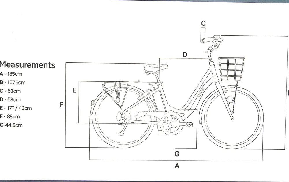 Volt Kensington  2021