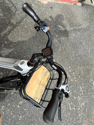 Rad Power RadCity 5 Plus Step-Thru 2021