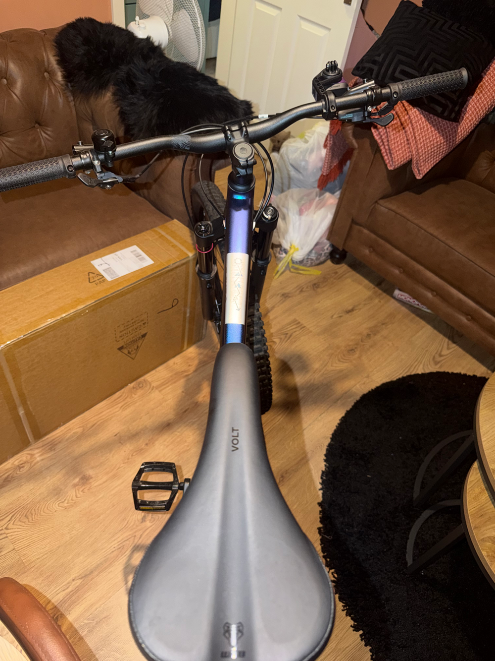 Voodoo Canzo Pro 2025