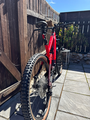 Trek Rail+ 5 Gen 5 2025