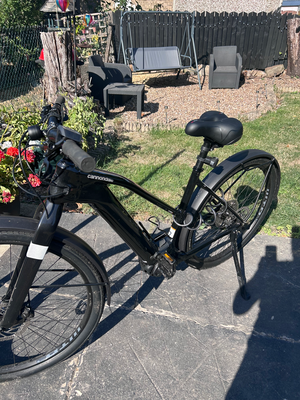 Cannondale Canvas Neo 2 2024