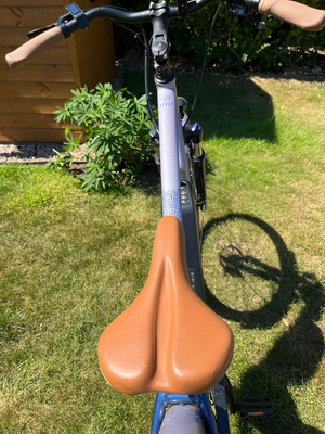 Raleigh Array 2021