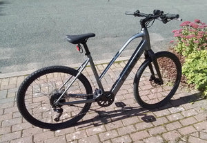 Trek Dual Sport+ 2 Stagger 2023