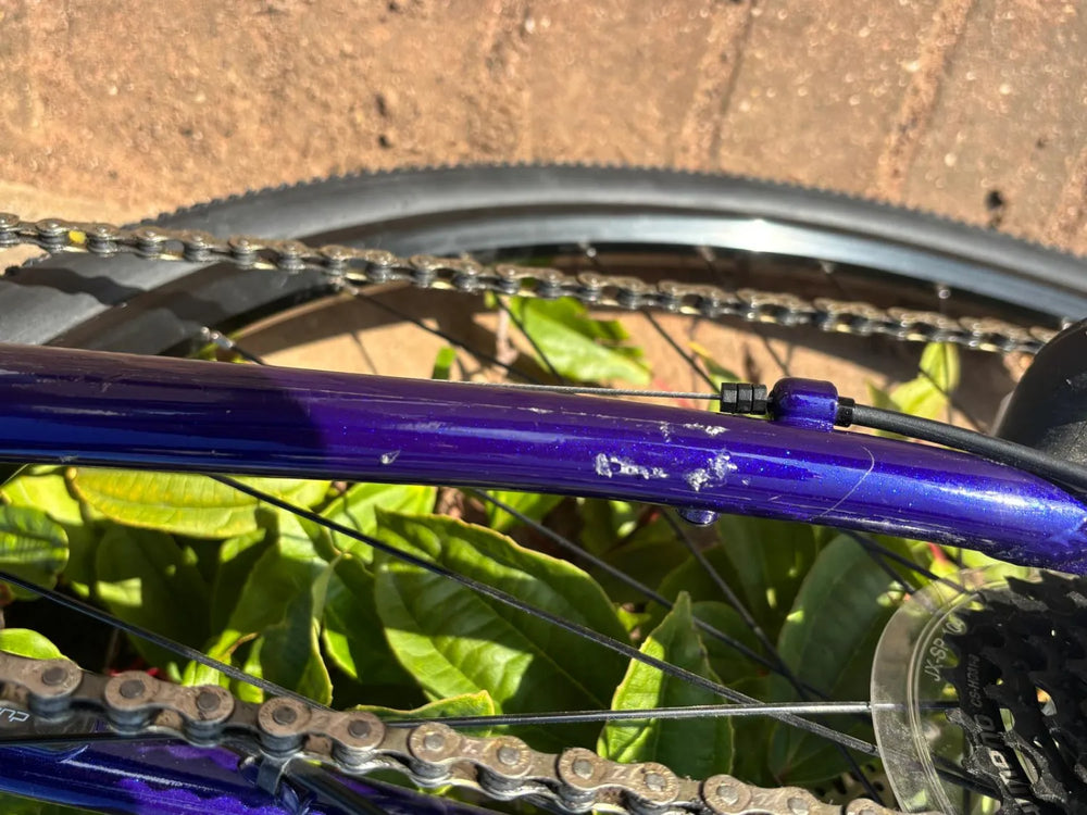 Trek Dual Sport 2 Women's 2021