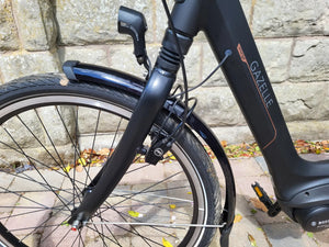Gazelle Orange C8 HMB Low-Step 2020